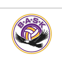 Başkent Arma logosu