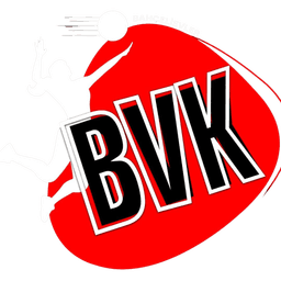 Bahçelievler Voleybol logosu
