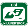 Dsi Nilüfer Spor Kulübü logosu