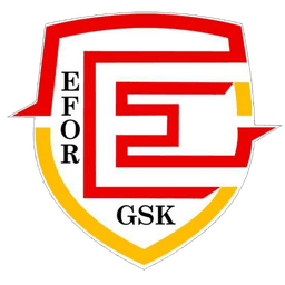 Efor logosu