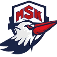 Mavişehir Koleji logosu