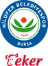 Nilüfer Belediye Spor Kulübü logosu