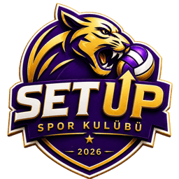 Set Up logosu
