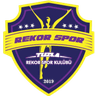 Tuzla Rekor logosu